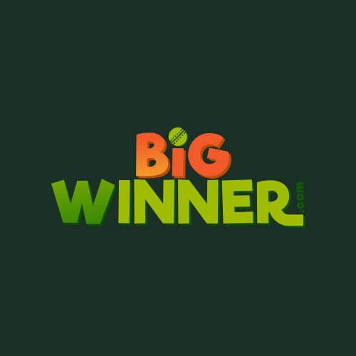 BigWinner Casino logo