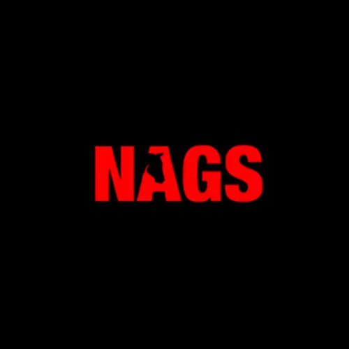 NagsBet Casino logo