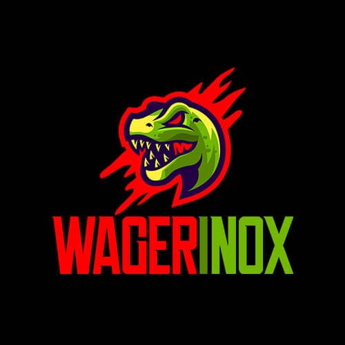 Wagerinox Casino logo