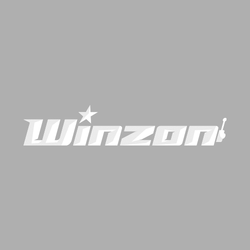 Winzon Casino logo